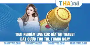 Trải nghiệm live xóc đĩa tại Thabet – Đặt cược tức thì, thắng ngay