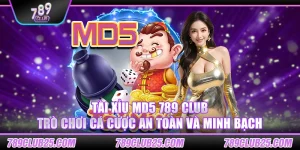 Tài xỉu MD5 789 Club – Trò chơi cá cược an toàn và minh bạch