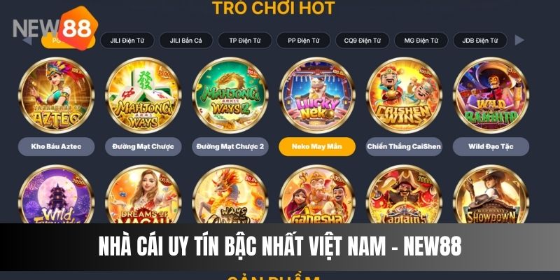 Giới thiệu sơ lược về nhà cái uy tín bậc nhất Việt Nam - NEW88